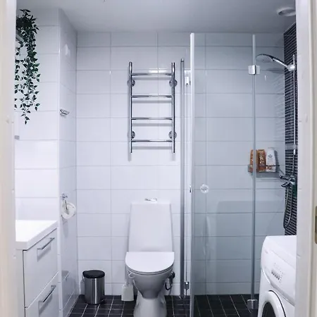Green-themed Modern Studio At The Center Apartment Helsinki
